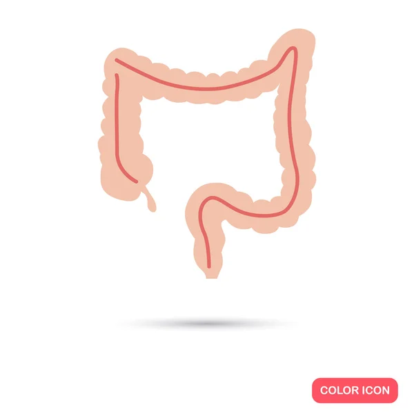 Intestinos humanos cor plana ícone —  Vetores de Stock