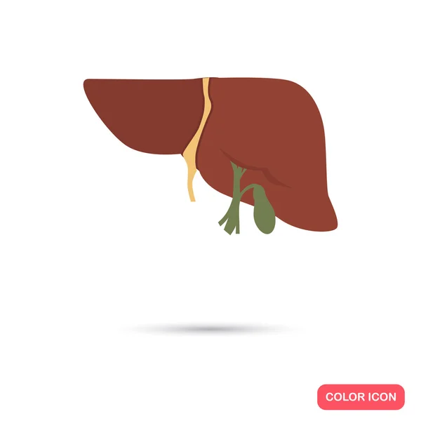 Colore del fegato umano icona piatta — Vettoriale Stock