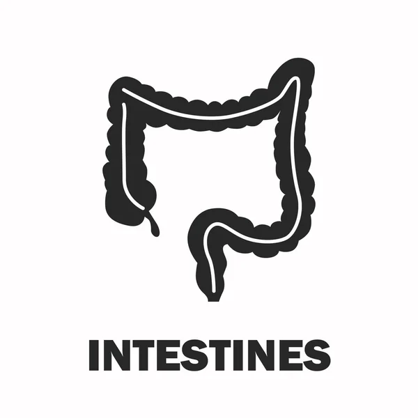 Intestinos humanos ícone preto — Vetor de Stock