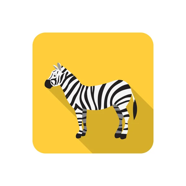 Zebra color flat icon — Stock Vector