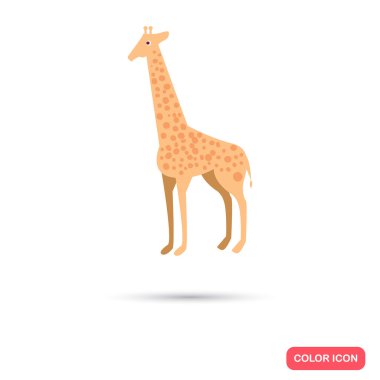 Zürafa renk düz simgesi