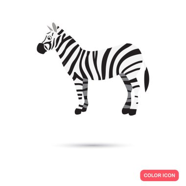 Zebra renk düz simgesi