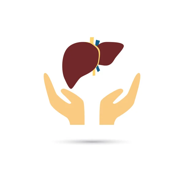 Ícone de cor de cuidados de fígado — Vetor de Stock