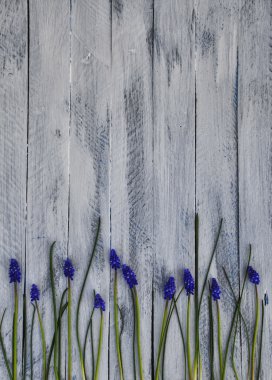 Ahşap panoları. Arka plan tasarımı için