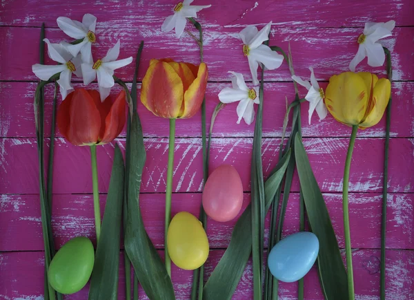 Achtergrond voor Pasen met bloemen en gekleurde eieren — Stockfoto