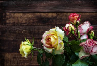 Sarı Gül ile antika arka plan