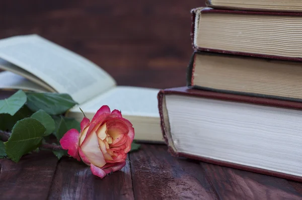 Εκλεκτής ποιότητας φόντο με βιβλία και τριαντάφυλλο — Φωτογραφία Αρχείου