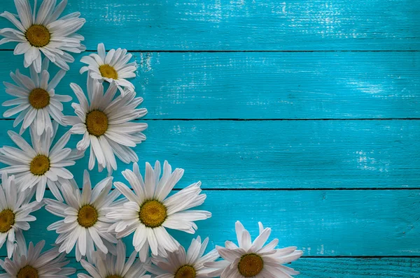 Fondo azul horizontal de madera con margaritas — Foto de Stock