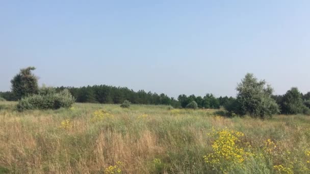 Steppe en Ukraine  