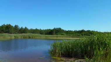 Ukrayna (Kherson bölgesi bozkır ortasında Gölü)