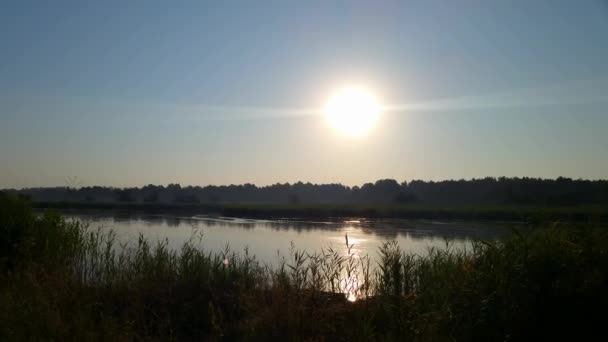 tôt le matin sur le lac 