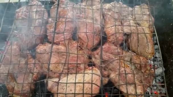 Fette di maiale bistecca fritta sul fuoco, piano di primo piano — Video Stock