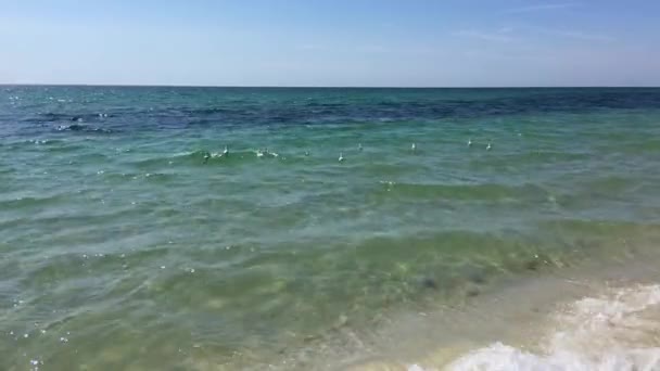 Rocher de goéland sur les vagues de la mer Noire (Ukraine ) — Video
