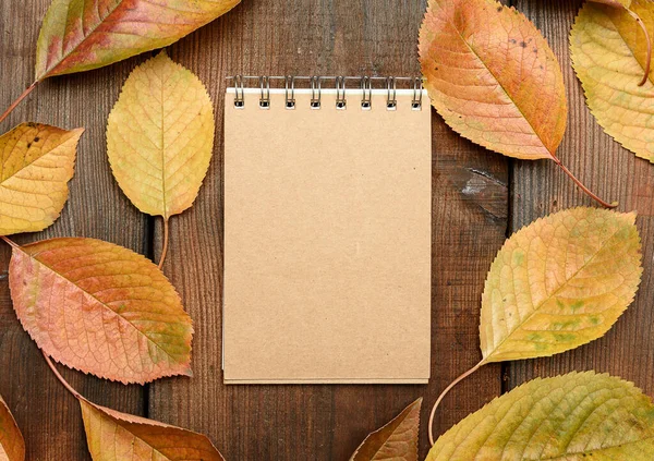 Caderno Aberto Com Folhas Marrons Branco Folhas Cereja Amarela Fundo — Fotografia de Stock