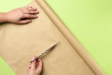 Kadın eli yeşil arka planda demir makasla kahverengi bir kağıt rulosunu kesiyor.