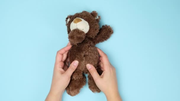 Two Female Hands Hold Brown Teddy Bear Blue Background Top — Stock Video