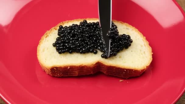 Delicious Black Paddlefish Caviar Slice Bread Made White Wheat Flour — Stock Video