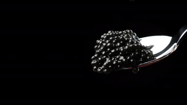 Delicious Black Paddlefish Caviar Metal Spoon Black Background Close — Stock Video