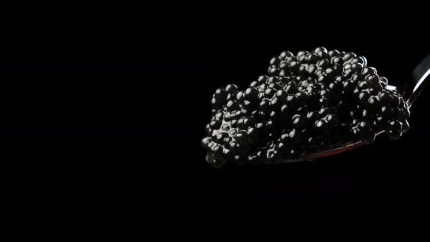 Вкусная Черная Икра Гребешка Металлической Ложке Черном Фоне Закрыть — стоковое видео