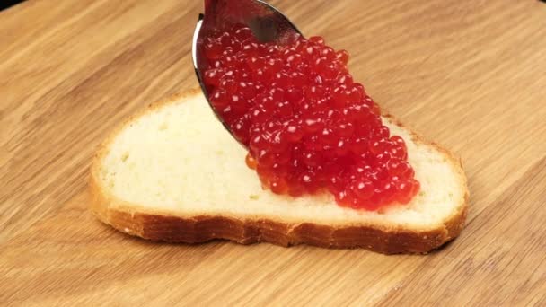 Uma Fatia Pão Branco Uma Colher Caviar Vermelho Processo Espalhar — Vídeo de Stock