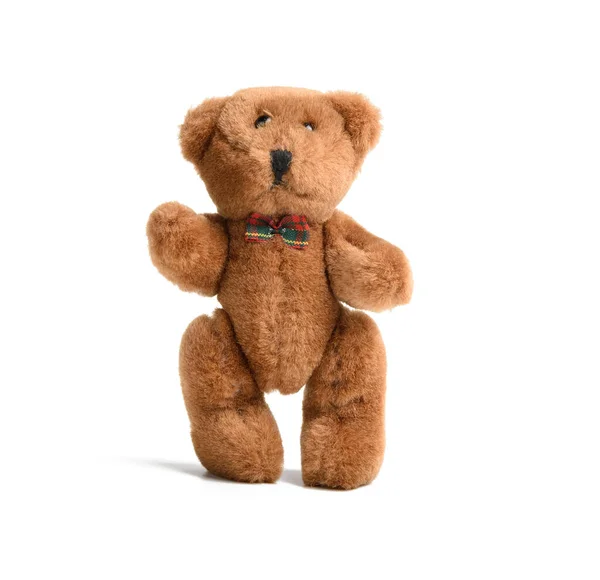 Cute Little Teddy Bear Stands White Isolated Background Childrens Toy — Stock Photo, Image