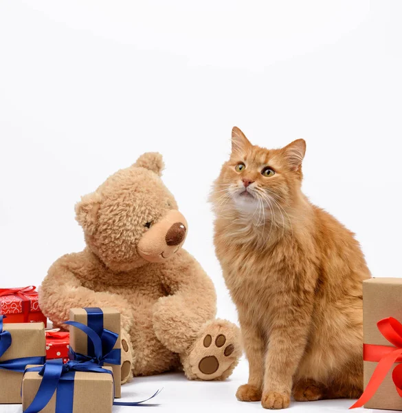 Gato Jengibre Adulto Sentado Medio Cajas Envueltas Papel Marrón Atadas — Foto de Stock