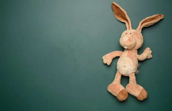 toy bunny on a green chalk school blackboard, place to write