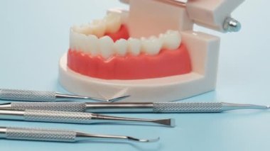 Beyaz dişli plastik çene modeli ve doktorun oral boşluktaki işi için çeşitli diş aletleri, mavi arka plan, kameranın sağdan sola hareketi
