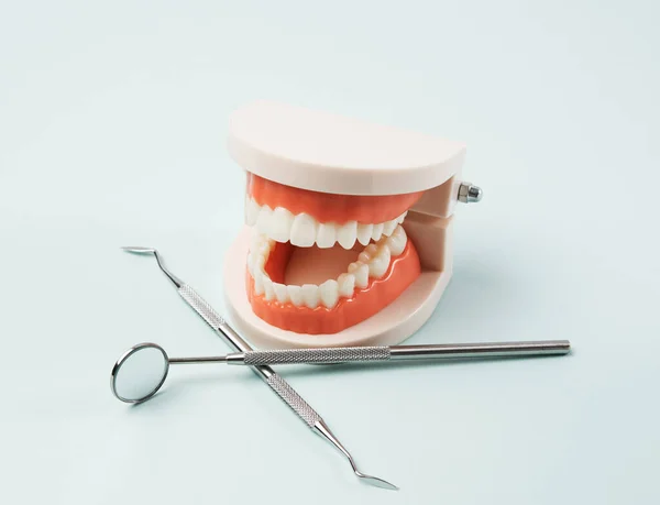 Plastic Model Human Jaw White Teeth Various Dental Instruments Doctor — Stock Photo, Image
