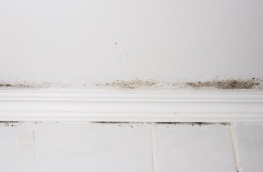 Beyaz tavanda, evin köşelerinde siyah küf. Astım için zararlı bir ortam.