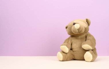 Kahverengi ayıcık mor arka planda oturur, göz tıbbi kahverengi bir alçı ile mühürlenir, kopyalama alanı