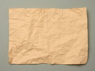 Gri zemin üzerinde buruşuk bej bir sayfa kağıt, kopyalama alanı. A4 biçimi