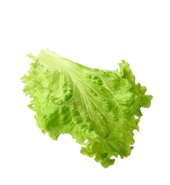 Beyaz Arka Planda Yeşil Marul Yaprağı Sağlıklı Yiyecek — Stok fotoğraf