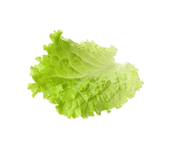 Zöld Saláta Levél Elszigetelt Fehér Alapon Egészséges Élelmiszer Közelről — Stock Fotó