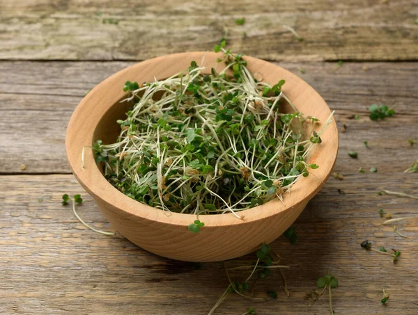 Gröna Groddar Chia Ruccola Och Senap Ett Bord Från Grå — Stockfoto