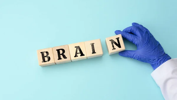 Houten Blokjes Met Inscriptie Brain Een Blauwe Achtergrond Altzheimer Ziekte — Stockfoto