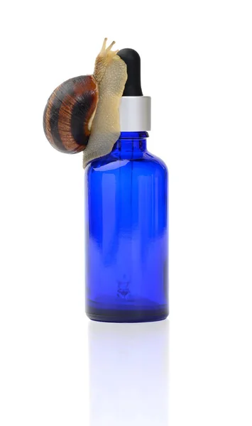 Braune Schnecke Sitzt Auf Einer Blauen Glasflasche Mit Einer Pipette — Stockfoto