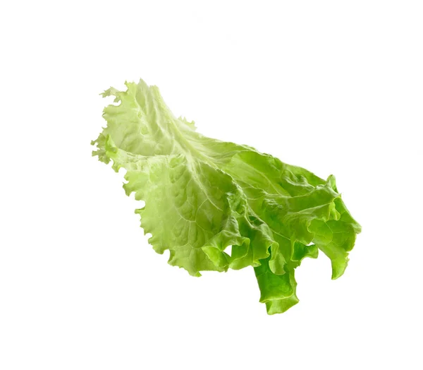 白い背景に隔離された緑のレタス健康食品 — ストック写真