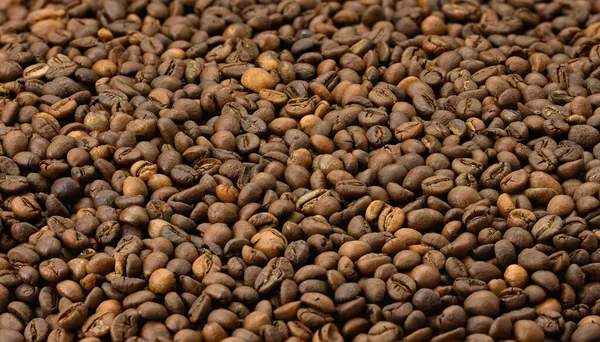 棕色烤阿拉伯和罗布斯塔咖啡豆 — 图库照片