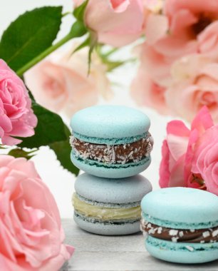 blue macarons lie on a background of pink roses, close up