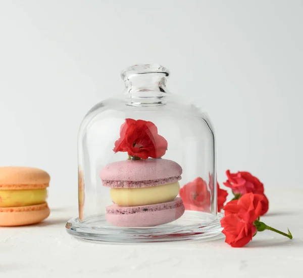 Macarons Violets Cuits Four Trouve Sous Bocal Verre Transparent Sur — Photo