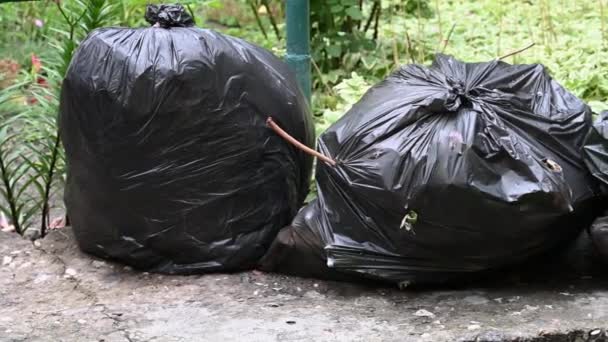 Schwarze Plastiktüten Voller Müll Liegen Auf Der Straße Kamerabewegung Von — Stockvideo