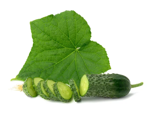 Fresh Green Cucumber Sliced Green Leaf White Background — Φωτογραφία Αρχείου