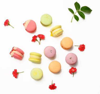 Beyaz arka planda farklı tatlara ve gül goncalarına sahip fırında makarna, üst görünüm