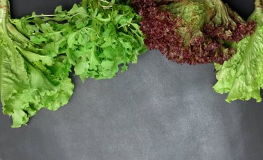 Siyah arkaplanda yeşil marul yaprakları, üst görünüm, boşluk kopyala