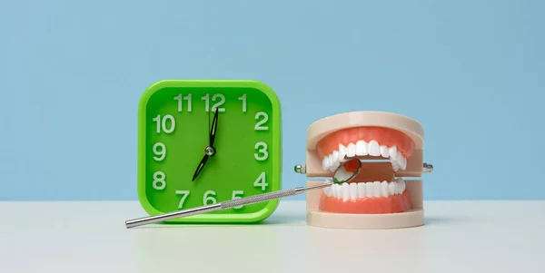 Green Alarm Clock Plastic Model Human Jaw White Even Teeth — Stock Photo, Image
