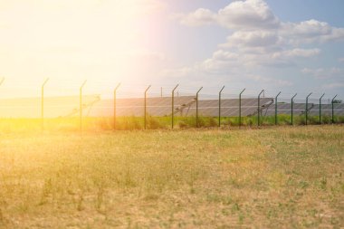 Güneşli bir günde, bir tarlanın ortasındaki güneş panelleri, Ukrayna