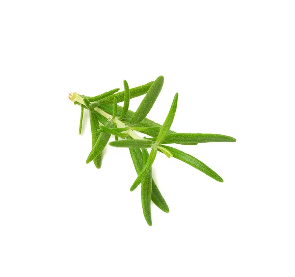 Sprig Rosemary Green Leaves Isolated White Background Aromatic Spice Meat — Stock Photo, Image