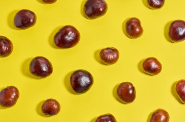 A bright, flat pattern of glossy horse chestnut fruit on a sunny yellow background. Autumn harvest or nature motif.