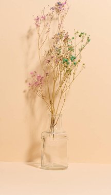 Pastel arka planda cam bir vazoda boyalı çingene dalları olan minimalist bir kompozisyon..